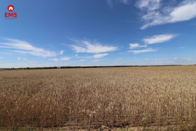 Działka budowlana z miejscowym planem w Raczkach  - Raczki  -
PODLASKIE Zdjęcie nr 4