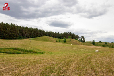 Urokliwa działka z dostępem do jeziora - Wodziłki  -
PODLASKIE Zdjęcie nr 4