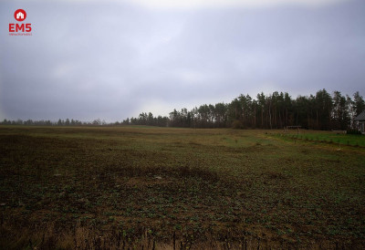 Działka budowlana  - Szeszupka  -
PODLASKIE Zdjęcie nr 2