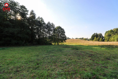 Działka z możliwością zabudowy w okolicy jeziora - Leszczewek  -
PODLASKIE Zdjęcie nr 6