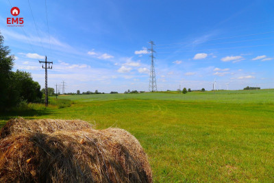 Działka w Turówce Nowej - Turówka Nowa  -
PODLASKIE Zdjęcie nr 5