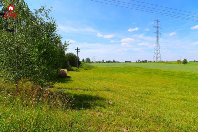 Działka w Turówce Nowej - Turówka Nowa  -
PODLASKIE Zdjęcie nr 6