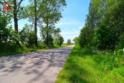 Działka w Turówce Nowej - Turówka Nowa  -
PODLASKIE Zdjęcie nr 7