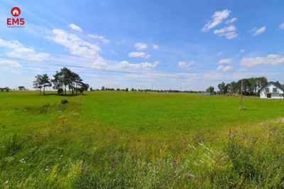 Tutaj zbudujesz swój dom - Turówka Nowa  -
PODLASKIE Zdjęcie nr 3