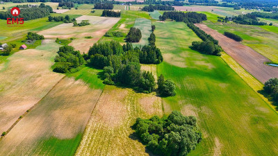 Oaza spokoju nad jeziorem - Boksze Stare  -
PODLASKIE Zdjęcie nr 7