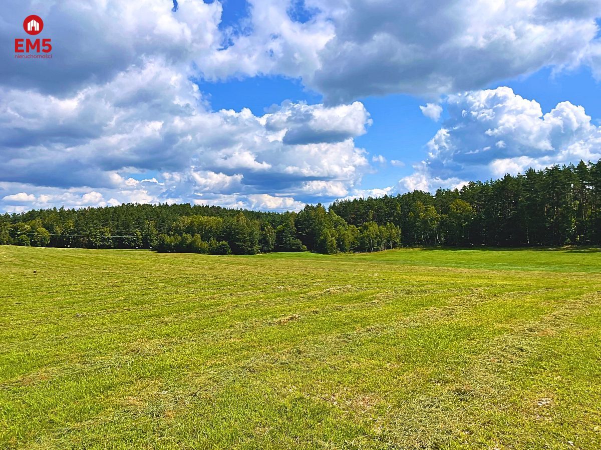 Działka budowlana na Mazurach - jezioro Pluszne  - Olsztynek  -
WARMIŃSKO-MAZURSKIE Zdjęcie nr 1