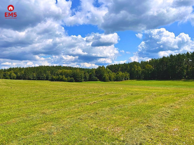 Działka budowlana na Mazurach - jezioro Pluszne  - Olsztynek  -
WARMIŃSKO-MAZURSKIE