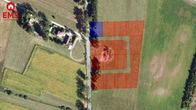 Działka budowlana 1000 m2 Rafałówka - Rafałówka  -
PODLASKIE Zdjęcie nr 2