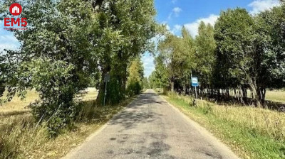 Działka budowlana 1000 m2 Rafałówka - Rafałówka  -
PODLASKIE Zdjęcie nr 3