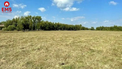 Działka budowlana 1000 m2 Rafałówka - Rafałówka  -
PODLASKIE Zdjęcie nr 4