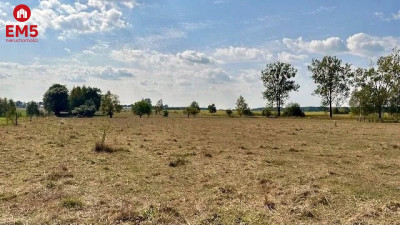 Działka budowlana 1425 m2 Rafałówka - Rafałówka  -
PODLASKIE Zdjęcie nr 6