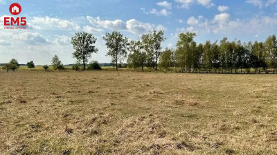 Działka budowlana 1425 m2 Rafałówka - Rafałówka  -
PODLASKIE Zdjęcie nr 8