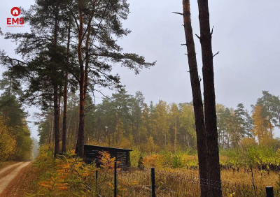 Piękna działka budowlana w otulinie lasów - Dzikie-Kolonia  -
PODLASKIE Zdjęcie nr 4