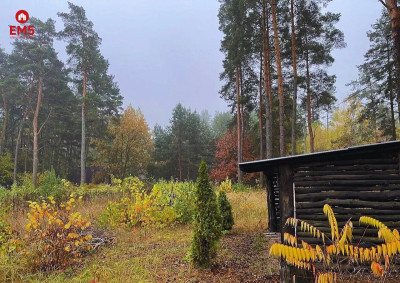 Piękna działka budowlana w otulinie lasów - Dzikie-Kolonia  -
PODLASKIE Zdjęcie nr 5