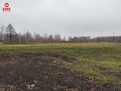 Wyjątkowa działka budowlana na sprzedaż  Stanisła - Stanisławowo  -
PODLASKIE Zdjęcie nr 4