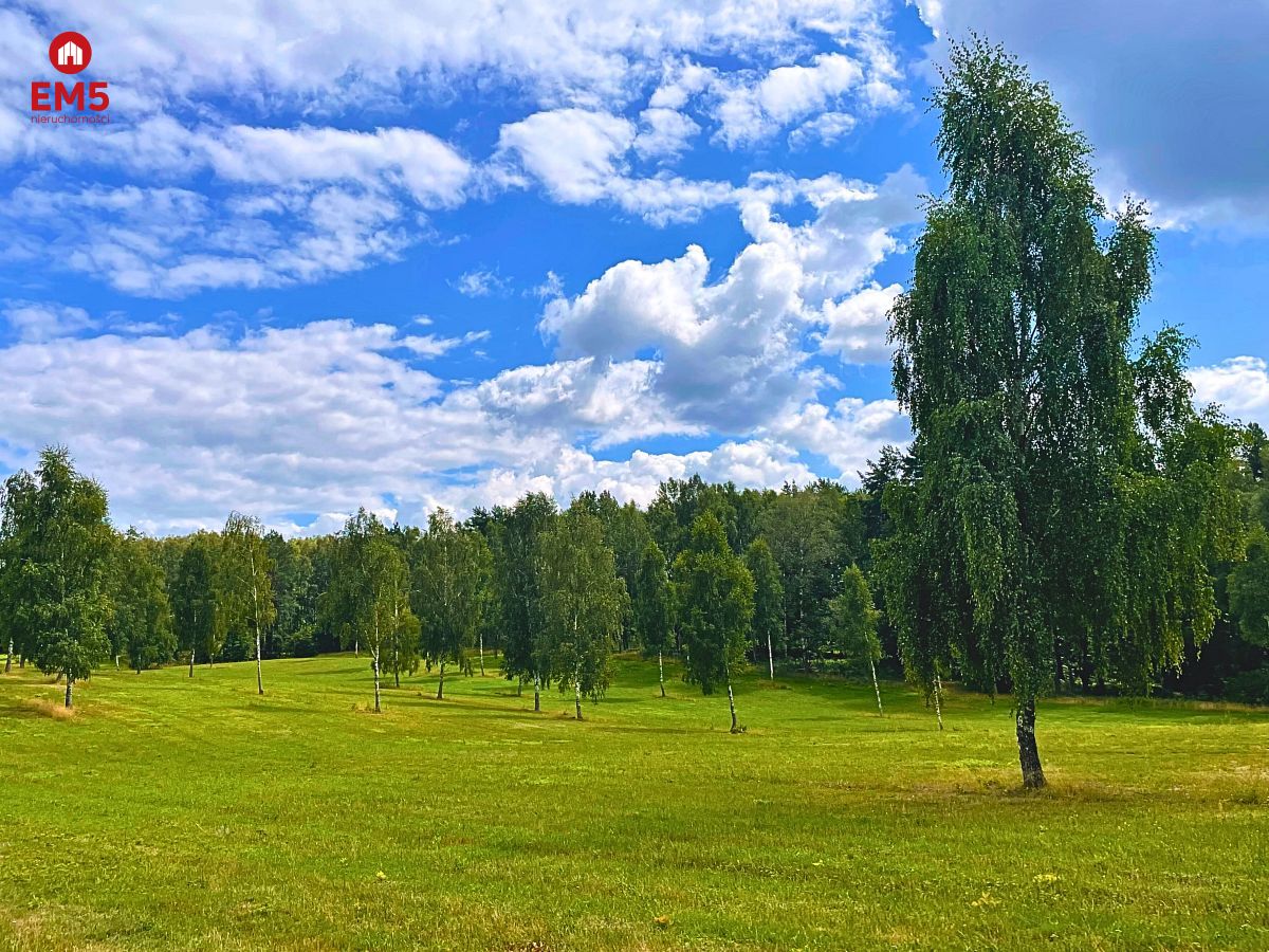 Działka budowlana blisko plaży jeziora Drwęckiego - Boguszewo  -
WARMIŃSKO-MAZURSKIE Zdjęcie nr 1