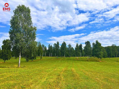 Działka budowlana blisko plaży jeziora Drwęckiego - Boguszewo  -
WARMIŃSKO-MAZURSKIE Zdjęcie nr 2