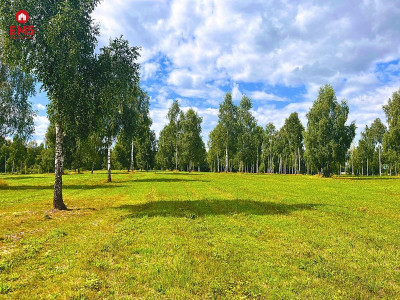 Działka budowlana blisko plaży jeziora Drwęckiego - Boguszewo  -
WARMIŃSKO-MAZURSKIE Zdjęcie nr 3