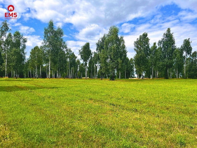 Działka budowlana blisko plaży jeziora Drwęckiego - Boguszewo  -
WARMIŃSKO-MAZURSKIE Zdjęcie nr 4