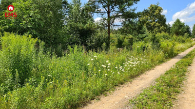 Działka budowlana 854 m2 Ciasne - Ciasne  -
PODLASKIE Zdjęcie nr 4