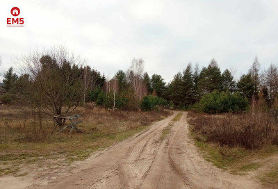 działka pod lasem blisko Białegostoku ze stawem - Ogrodniczki  -
PODLASKIE Zdjęcie nr 4