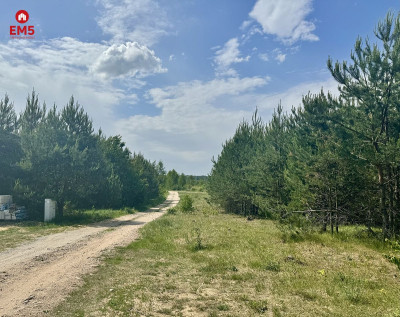 Działka budowlana w Karakulach - Karakule  -
PODLASKIE Zdjęcie nr 4