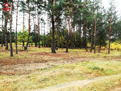 Działka  rolna 3420m2 Dubicze Cerkiewne - Dubicze Cerkiewne  -
PODLASKIE Zdjęcie nr 4