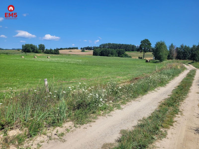 Działka nad jeziorem w gminie Stare Juchy - Dobra Wola  -
WARMIŃSKO-MAZURSKIE Zdjęcie nr 2