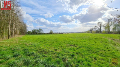 Działka pod pole golfowe - doskonała inwestycja  - Tałty  -
WARMIŃSKO-MAZURSKIE