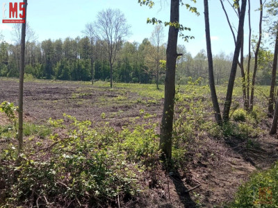 Działka z ogromnym potencjałem w Halickich  - Białystok  -
PODLASKIE