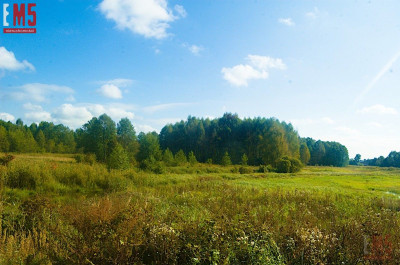 Działka 20000m2 pod Twoją Inwestycję - Koplany  -
PODLASKIE Zdjęcie nr 2