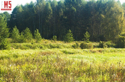 Działka 20000m2 pod Twoją Inwestycję - Koplany  -
PODLASKIE Zdjęcie nr 3