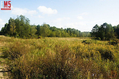 Działka 20000m2 pod Twoją Inwestycję - Koplany  -
PODLASKIE Zdjęcie nr 4