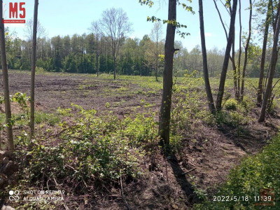 Działka na sprzedaż - Halickie  -
PODLASKIE Zdjęcie nr 3