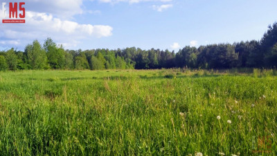 Działka w otulinie lasuidealne miejsce pod dom - Henrykowo  -
PODLASKIE Zdjęcie nr 2