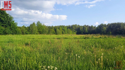 Działka w otulinie lasuidealne miejsce pod dom - Henrykowo  -
PODLASKIE Zdjęcie nr 3