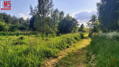 Działka w otulinie lasuidealne miejsce pod dom - Henrykowo  -
PODLASKIE Zdjęcie nr 4