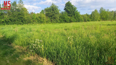 Działka w otulinie lasuidealne miejsce pod dom - Henrykowo  -
PODLASKIE Zdjęcie nr 5