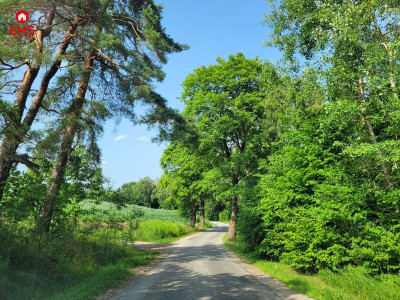 Mazury jezioro Garbas duża działka - Nowe Krzywe  -
WARMIŃSKO-MAZURSKIE Zdjęcie nr 2