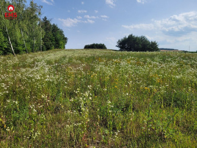 Mazury jezioro Garbas duża działka - Nowe Krzywe  -
WARMIŃSKO-MAZURSKIE Zdjęcie nr 3