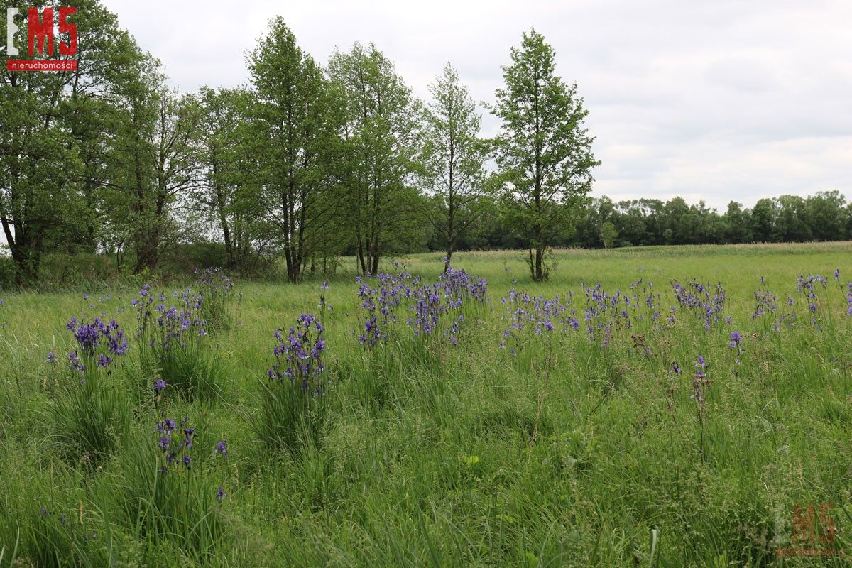 Działka 3200m2Niewodnica KościelnaUl Gajowa - Niewodnica Kościelna  -
PODLASKIE Zdjęcie nr 1