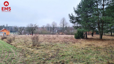 Działka 1743 Pieńki - Pieńki  -
PODLASKIE Zdjęcie nr 10