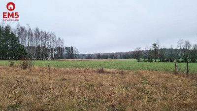 Działka 1743 Pieńki - Pieńki  -
PODLASKIE Zdjęcie nr 7