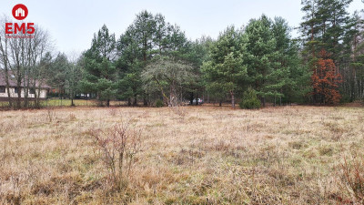 Działka 1743 Pieńki - Pieńki  -
PODLASKIE Zdjęcie nr 9