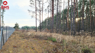 Działka 8500 m2 Jurowce - Jurowce  -
PODLASKIE Zdjęcie nr 3