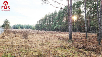 Działka 8500 m2 Jurowce - Jurowce  -
PODLASKIE Zdjęcie nr 4