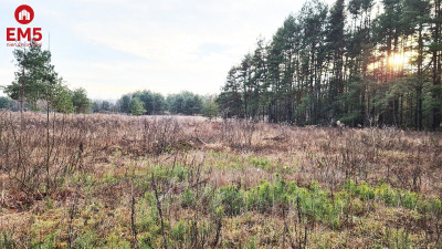 Działka 8500 m2 Jurowce - Jurowce  -
PODLASKIE Zdjęcie nr 5