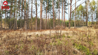 Działka 8500 m2 Jurowce - Jurowce  -
PODLASKIE Zdjęcie nr 6