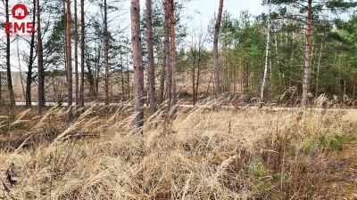 Działka 8500 m2 Jurowce - Jurowce  -
PODLASKIE Zdjęcie nr 7