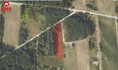 Działka 8500 m2 Jurowce - Jurowce  -
PODLASKIE Zdjęcie nr 8